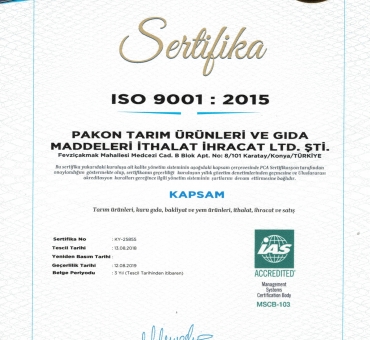 ISO 9001 Türkçe Sertifika