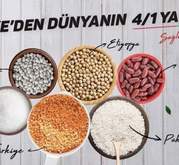 From Turkey to the global trade market
