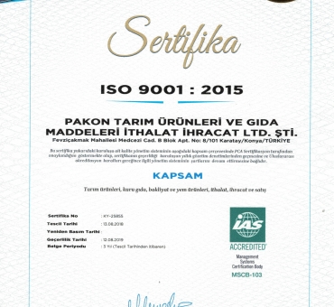 ISO 9001 Turkish Certificate